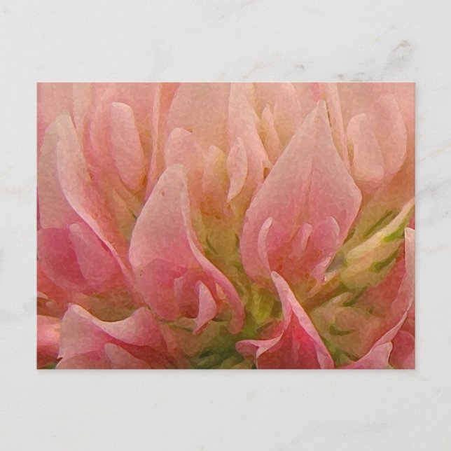 Rosa Klee Postkarte (Vorderseite)