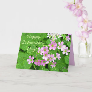 Rosa Kleeblatt Blume Happy St Patrick's Day Card Karte