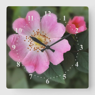 Rosa kleine Blume Quadratische Wanduhr