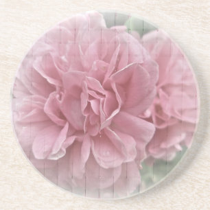 Rosa Kletterblüten in der Rose Sandstein Untersetzer