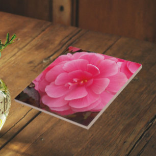 Rosa Knollige Begonie-Blüten Fliese