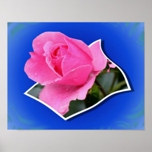 Rosa Knospe Pink außerhalb der Grenzen Kunst Poster
