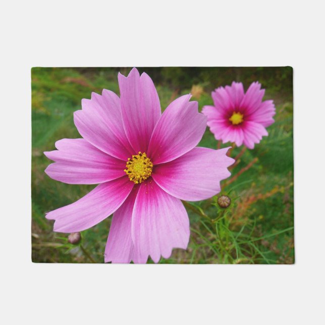 Rosa Kosmos Blume Wildblume Fußmatte (Vorderseite)