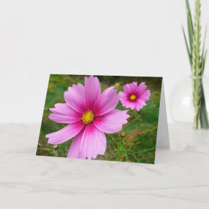 Rosa Kosmos Blume Wildblume Karte