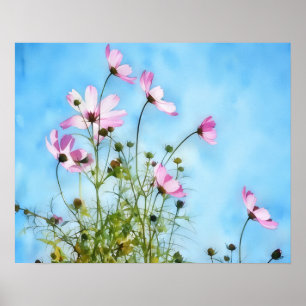 Rosa Kosmos-Blumen Florale Kunst Poster