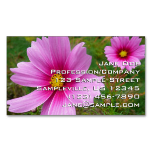 Rosa Kosmos-Blumen Wildblume Magnetische Visitenkarte