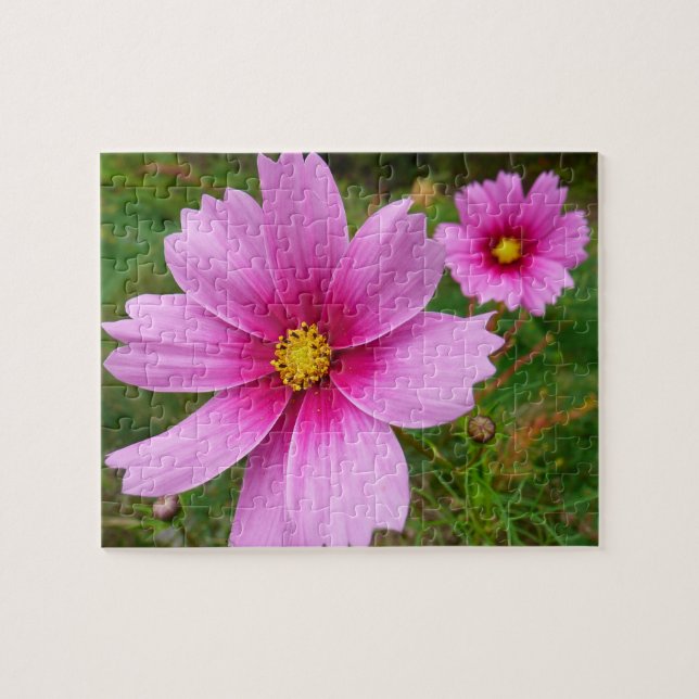 Rosa Kosmos-Blumen Wildblume Puzzle (Horizontal)
