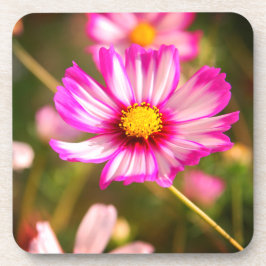 Rosa Kosmos, Hütte Garten Rosalinde Getränkeuntersetzer