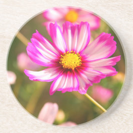 Rosa Kosmos, Hütte Garten Rosalinde Getränkeuntersetzer