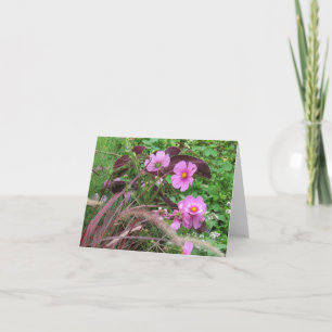 Rosa Kosmos mit Coleus Karte
