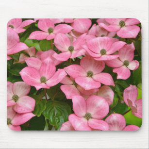 Rosa kousa Hartriegel-Blumendruck Mousepad