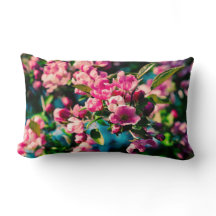 Rosa Krabbenapfel-Blume