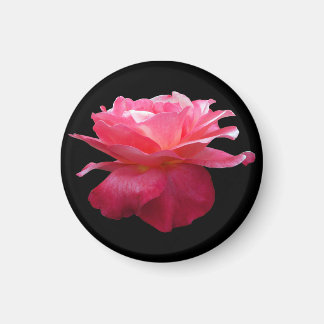 Rosa-Kühlschrankmagnet-Gartengeschenk Magnet