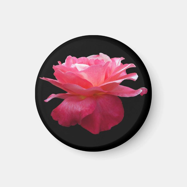 Rosa-Kühlschrankmagnet-Gartengeschenk Magnet (Vorne)