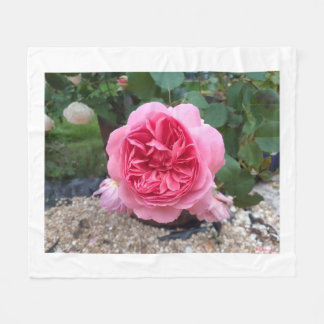Rosa Landrose Blumen Flanelldecke  Fleecedecke
