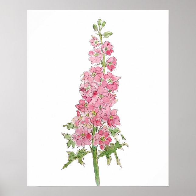 Rosa Larkspur Blume Aquarell und Tinte Poster (Vorne)