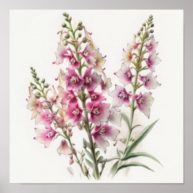 Rosa Larkspur Blume Art Print Poster (Vorne)