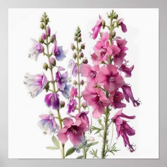 Rosa Larkspur Blume Art Print Poster (Vorne)