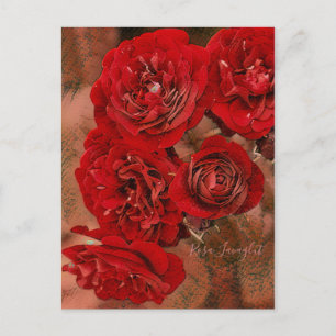 Rosa Lavaglut [Postkarte] Postkarte