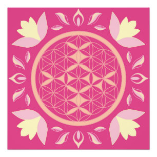 rosa Lebensblume Fotodruck