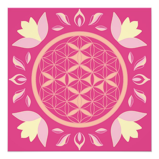 rosa Lebensblume Fotodruck (Vorne)