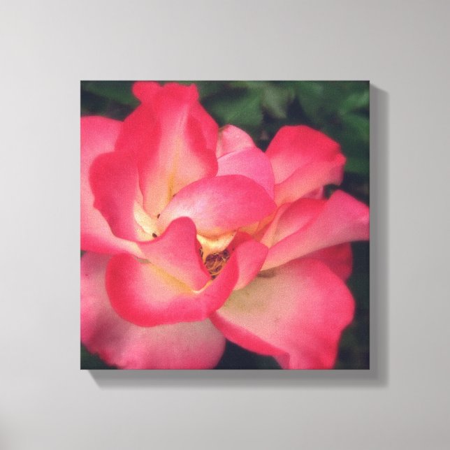 Rosa Leinwand (Vorderseite)