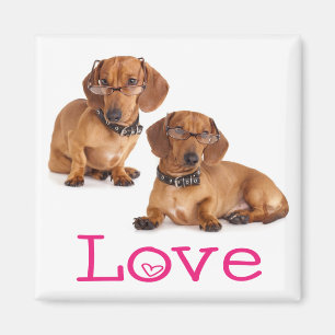 Rosa Liebe Dachshund Welpe Hund Kühlschrankmagnet Magnet