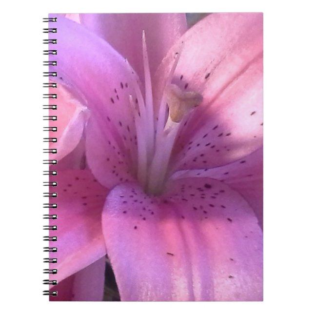 Rosa Liege-Notebook Notizblock (Vorderseite)