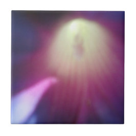 Rosa Lila Blumenfolie Fliese