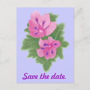 Rosa Lila Geranium Save the Date Postkarten