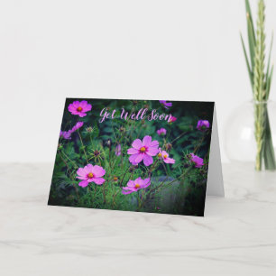 Rosa Lila Kosmos-Blume wird bald gut Karte