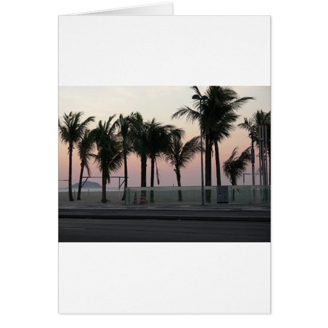 Rosa lila Palmen (Vorne)