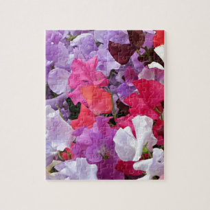 Rosa-, Lila u. weißeder süßen Erbse Blumen in der  Puzzle