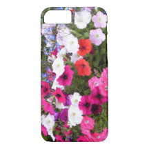 Rosa, lila und weiße Petunia-Blume