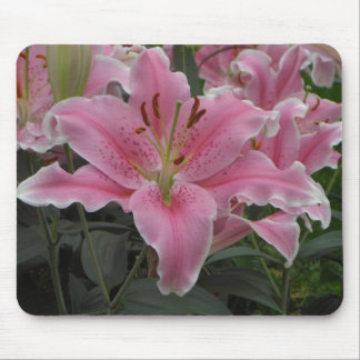 Rosa Lilie Mousepad