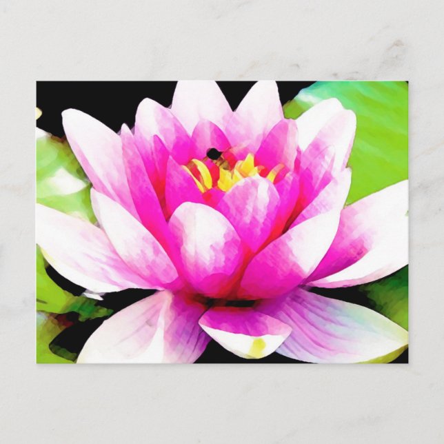 Rosa Lilie Postkarte (Vorderseite)