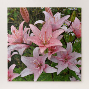 Rosa Lilie Schönheit Puzzle
