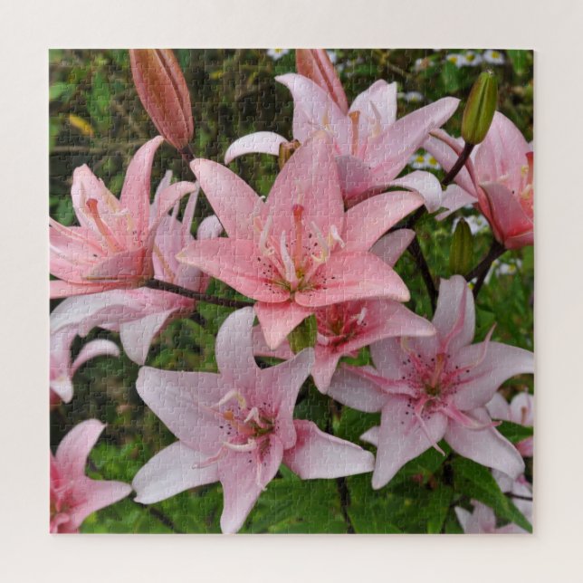 Rosa Lilie Schönheit Puzzle (Vertikal)