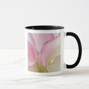 Rosa Lilie Tasse