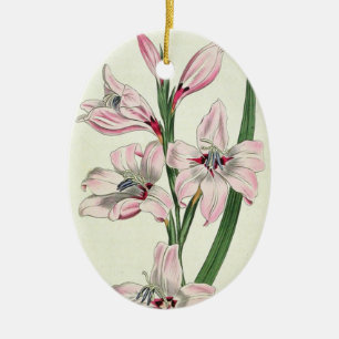 Rosa Lilien - Ornament