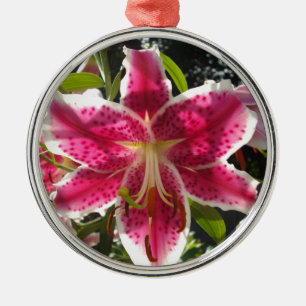 Rosa Lilien Rosa tropische Blume Rosa Blüten Silbernes Ornament