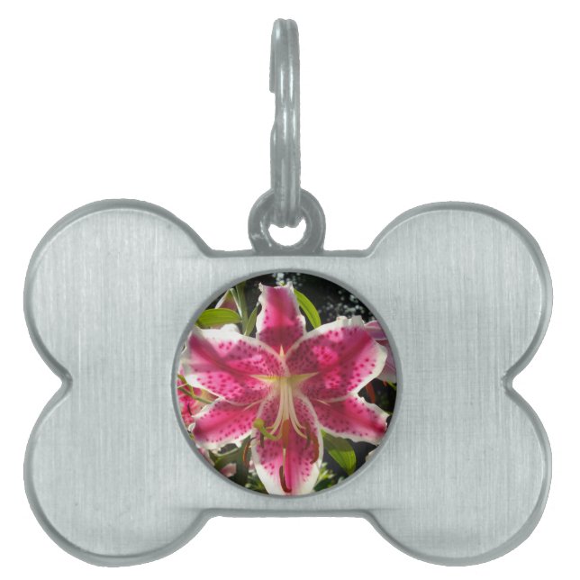 Rosa Lilien Rosa tropische Blume Rosa Blüten Tiermarke (Vorderseite)