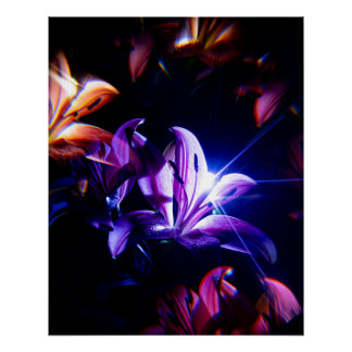 Rosa Lilien Spiegelung mit Lichtstrahlen Poster