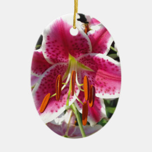 Rosa Lilienrosa Blume tropische Blume Keramik Ornament