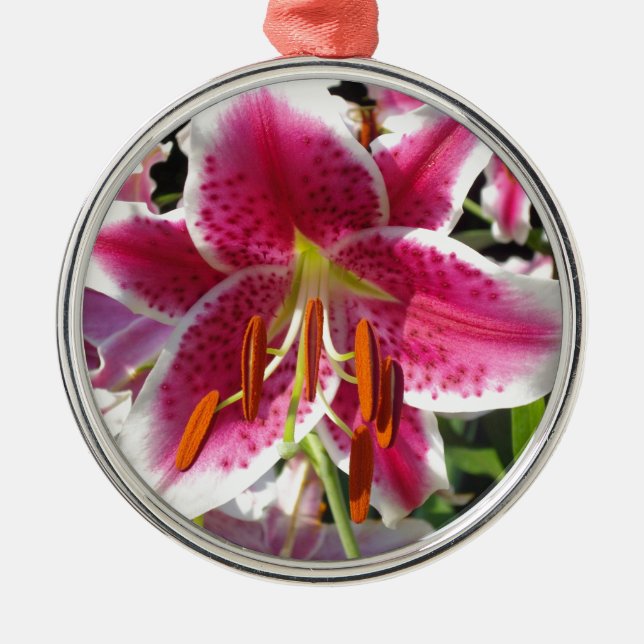 Rosa Lilienrosa Blume tropische Blume Silbernes Ornament (Vorne)