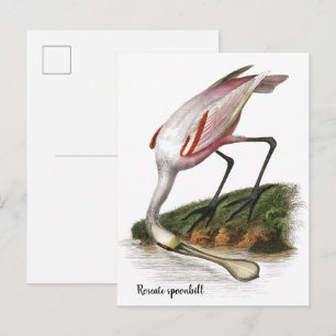 Rosa Löffler Gemälde Klein Postkarte