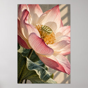 Rosa Lotosblüten Nahaufnahme Botanische Wandkunst Poster