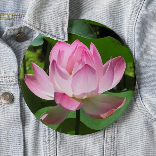 Rosa Lotus Bloom Button (Beispiel)