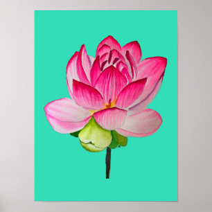 Rosa Lotus Blume Aquarell Kunst Poster
