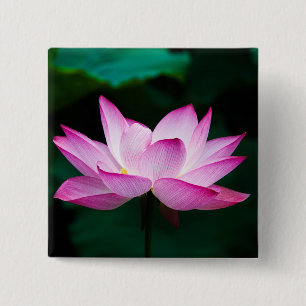 Rosa Lotus-Blume Button